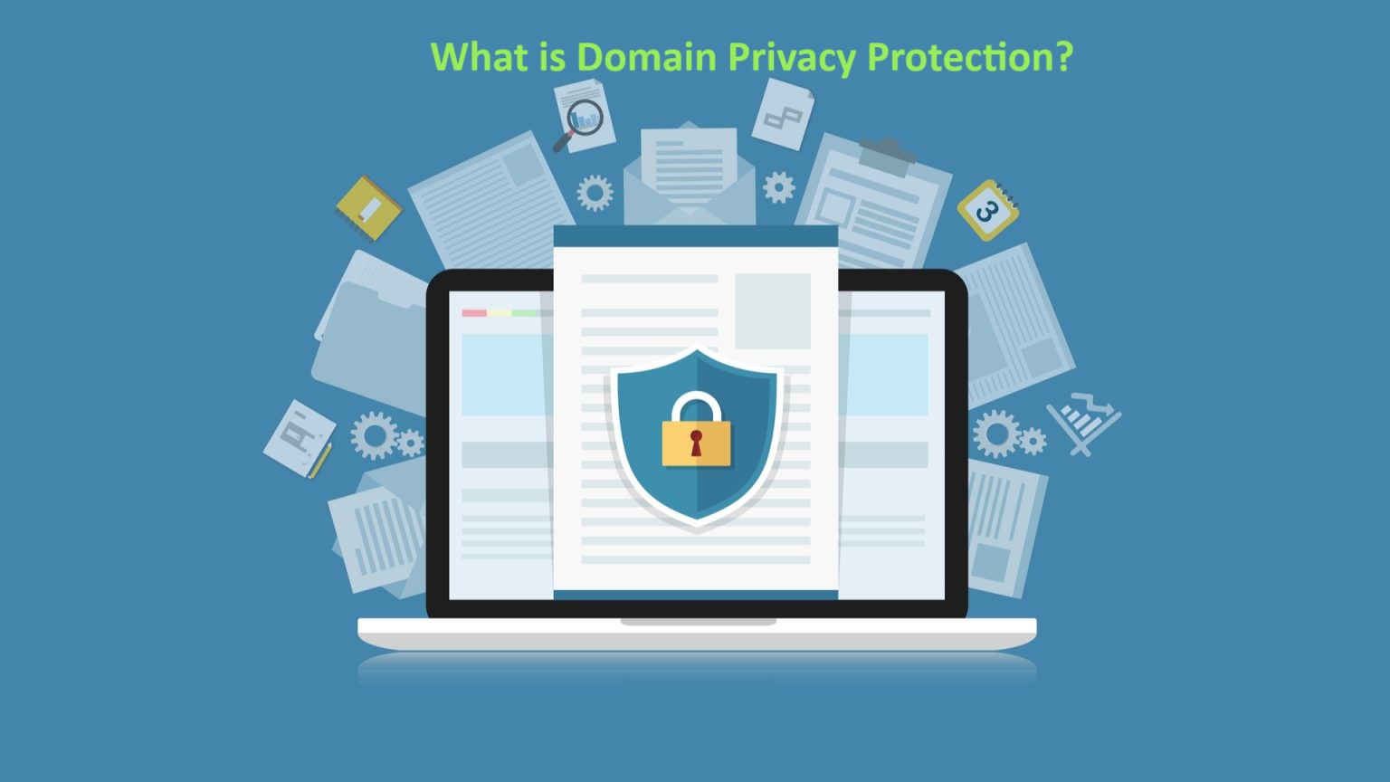 What is Domain Privacy Protection?